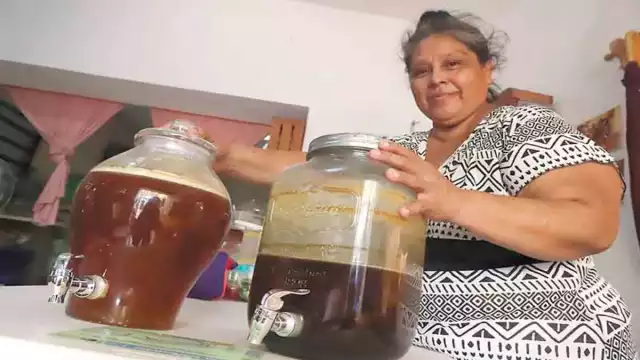 Además de proteger a las “abejas sagradas mayas”, Chalé Euán se dedica a la medicina tradicional. Fotos Martín Zetina.