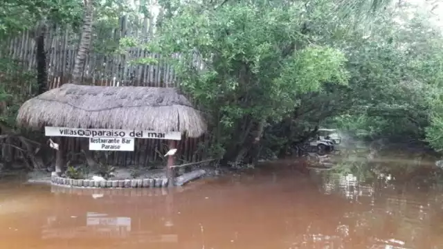 Foto: Luis Enrique Cauich