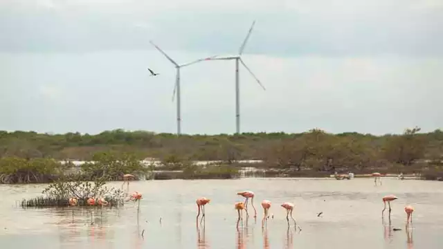 La entidad ocupó el primer lugar en empleo. Foto: Enrique Osorno.
