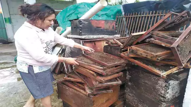 Mirthea Canché reveló que perdió las únicas 40 colmenas con las que contaba. Foto: Luis Manuel Pech Sánchez.