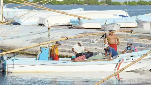 Foto: David Vázquez