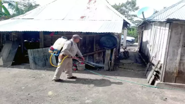 La enfermedad se estancó en 39 infectados, lo que representa 26 menos que el mismo periodo de 2019. Foto: Por Esto!