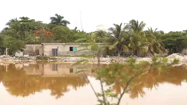 Foto: Enrique Osorno