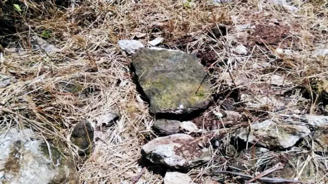 Foto: Néstor Cuevas