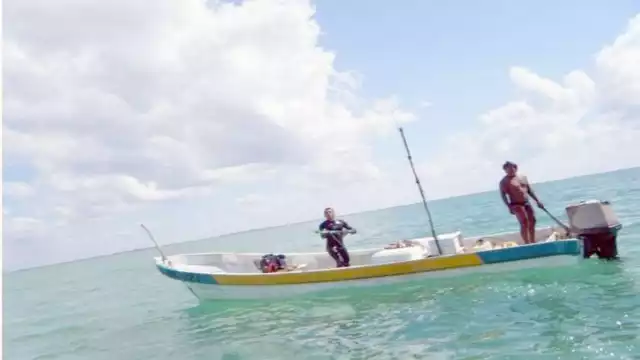 El paso de los fenómenos meteorológicos propició el arribo del octópodo a las costas de Isla Arena. Foto: Jorge Aké.