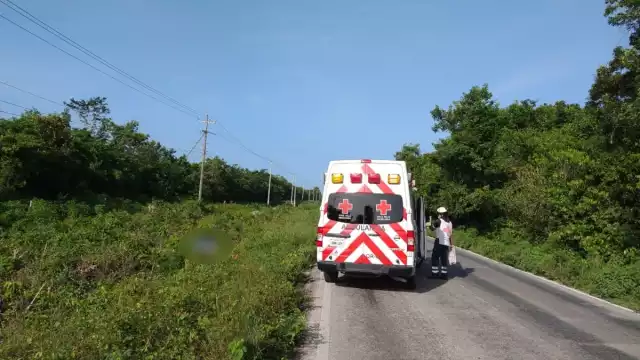 Foto: Jazmín Rodríguez