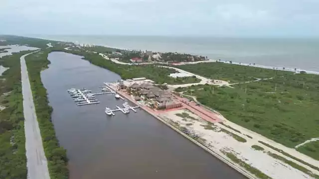 El desbordamiento de los manglares actúa como fertilización y limpieza natural de los ecosistemas. Foto: Luis Pérez