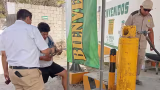 Profeco pide vigilar el color de la flama para evitar desperdicio de gas LP en Yucatán