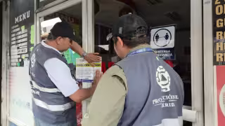 Clausuran uno de cada 10 negocios inspeccionados en Yucatán por faltas sanitarias