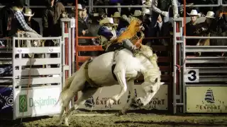 La Feria Xmatkuil fue suspendida en 2020 ante la contingencia sanitaria, mientras que en 2021 se realizó con cupo limitado