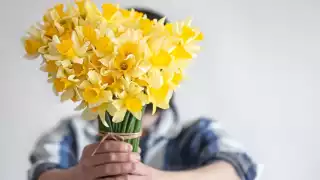 ¿Cuándo y por qué se regalan flores amarillas en septiembre?