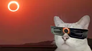 Estos son los mejores memes del Eclipse Solar 2024