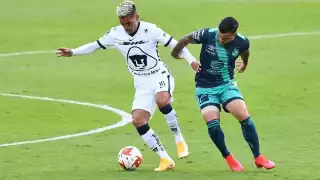 Los Pumas llegan con la misión no de perder puntos para seguir con la esperanza de clasificar en este torneo