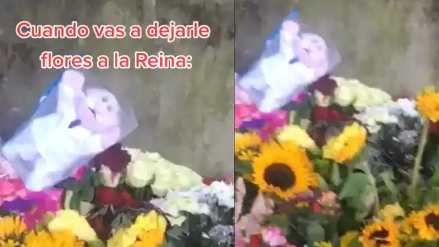 Un usuario de TikTok mostró que alguien dejó un muñeco del Dr. Simi entre las flores