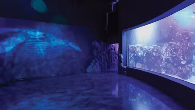 La Fiscalía Especializada para la Investigación del Delito de Feminicidio, continúa la investigación para establecer si pudo existir o no, responsabilidad en el seguimiento de protocolos