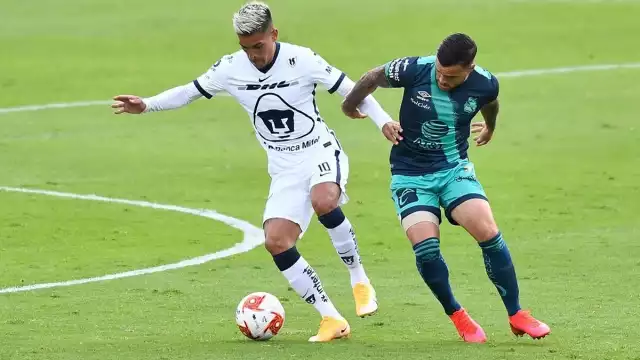 Los Pumas llegan con la misión no de perder puntos para seguir con la esperanza de clasificar en este torneo