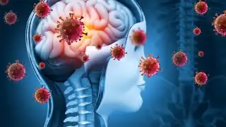 El hongo fusarium no fue hallado en los medicamentos