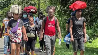 El grupo de migrantes era de más de 400 caribeños que habían cruzado entre los matorrales y selva para poder evadir a las autoridades mexicanas