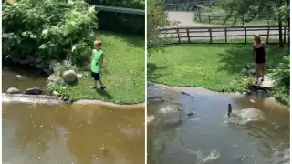 VIDEO: Para recuperar su cartera, mujer se mete a estanque de cocodrilos junto a su hijo