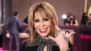 La cantante Alejandra Guzmán, mostró por primera vez la prótesis que le injertaron en la cadera