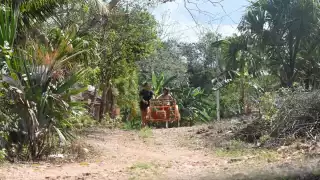 Experto asegura que jóvenes en Q.Roo 'se avergüenzan' de hablar maya