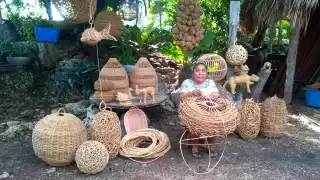 El bejuco se trabaja en la zona maya de Quintana Roo debido que los árboles crecen en la extensa selva, el municipio donde más se realiza esta artesanía es Felipe Carrillo Puerto y Tulum.