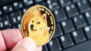 Elon Musk cambia logo de Twitter por imagen de Dogecoin