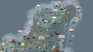 ¿Buscas trabajo en el Tren Maya? Mira cómo pedir empleo al Fonatur (Especial)