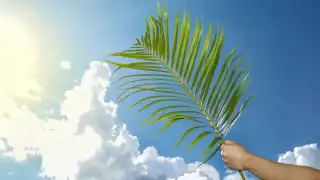 Vacaciones de semana santa 2023