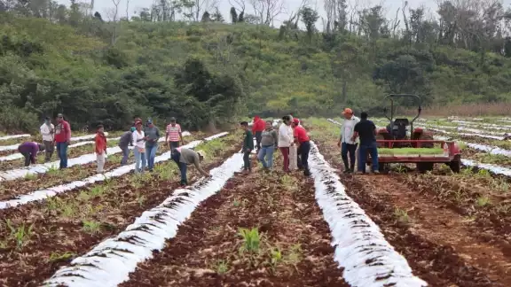Del conjunto de habitantes inmersos en el mercado laboral, el 68 por ciento, que equivale a 306 mil trabajadores, son asalariados en Campeche