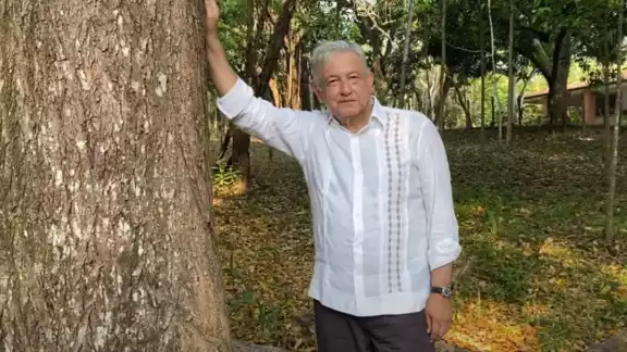 A través de un video que difundió en sus redes sociales, el mandatario federal dijo que el programa paga un jornal de 4 mil 500 pesos mensuales a quien siembre árboles frutales