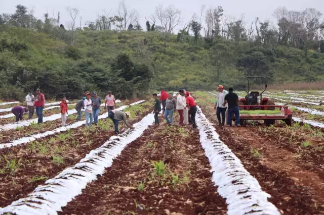 Del conjunto de habitantes inmersos en el mercado laboral, el 68 por ciento, que equivale a 306 mil trabajadores, son asalariados en Campeche