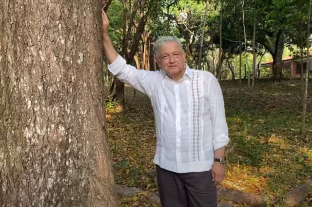 A través de un video que difundió en sus redes sociales, el mandatario federal dijo que el programa paga un jornal de 4 mil 500 pesos mensuales a quien siembre árboles frutales