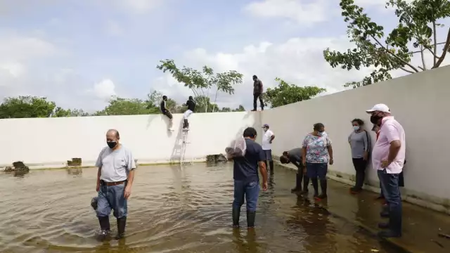 Foto: Martín Zetina