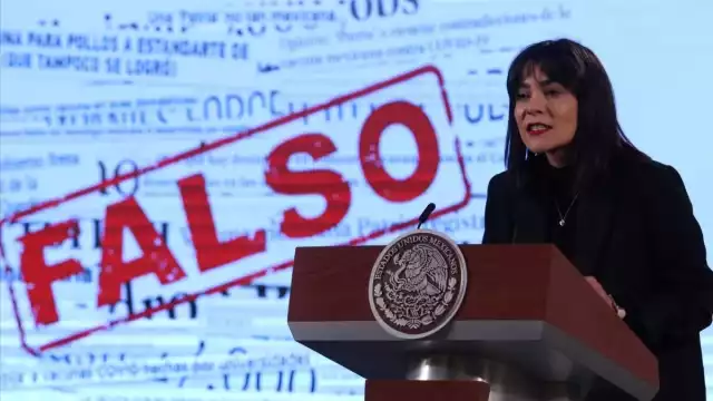 Ana Elizabeth García Vilchis