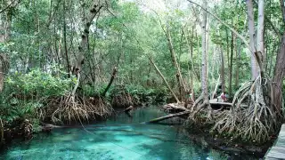 ¿Qué es el ecoturismo y dónde hacerlo en Yucatán?
