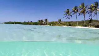 Las playas con menor afectación y limpias del sargazo son las del Municipio de Isla Mujeres con siete costas limpias