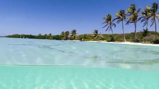 Las playas con menor afectación y limpias del sargazo son las del Municipio de Isla Mujeres con siete costas limpias