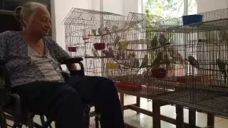 El objetivo de las UMAS es la reproducción y crianza de especímenes que, por causas humanas o naturales, se encuentran en peligro