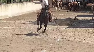 El próximo 16 de octubre se anunció la final del torneo en el lienzo charro El Coraje, de Mocochá
