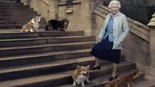 Ellos son los elegidos para quedarse con los perros corgis de la Reina Isabel II
