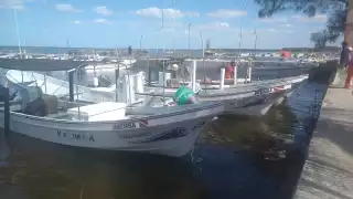 Pescadores en crisis por la baja captura de especies en Yucatán