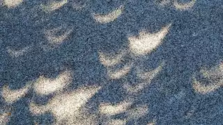 ¿Es seguro ver las sombras de la luna durante un eclipse solar?