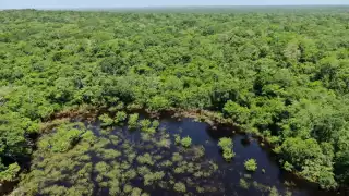 Los aluxes viven en los cenotes y grutas de Yucatán