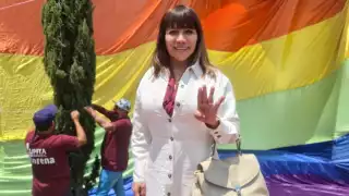 Luego de esto, la diputada de Morena, Salma Luévano, pidió la palabra para denunciar a Gabriel Quadri por violencia de género