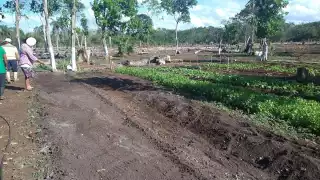 Denunciaron mal manejo del programa y abuso por parte de un coordinador