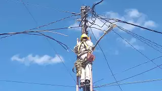 Cables de mediana tensión se fundieron por una sobrecarga