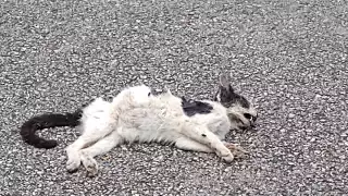 Foto: Efraín Valencia