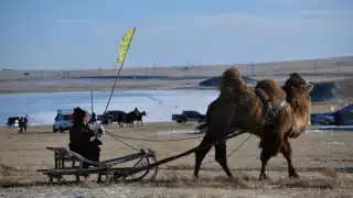 Mongolia entra en cuarentena por caso de peste negra