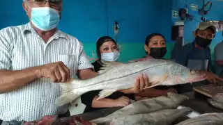 El incremento en el monto de las escamas impacta gravemente a las personas establecidas dedicadas a la venta del producto